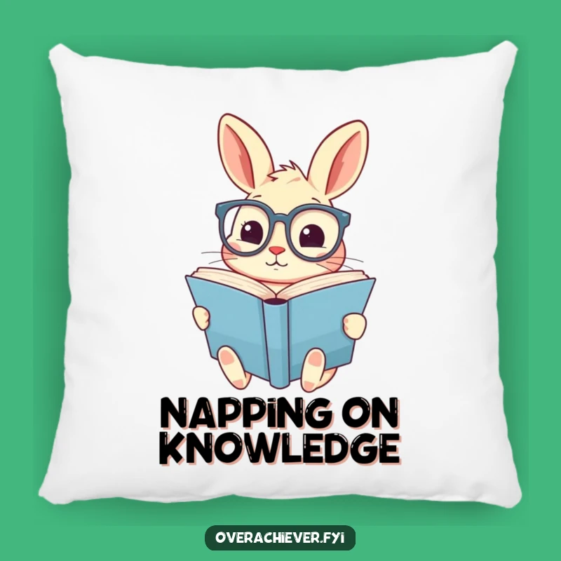 Funny Rabbit Pillow - Cozy & Cute Accent for Book Nooks